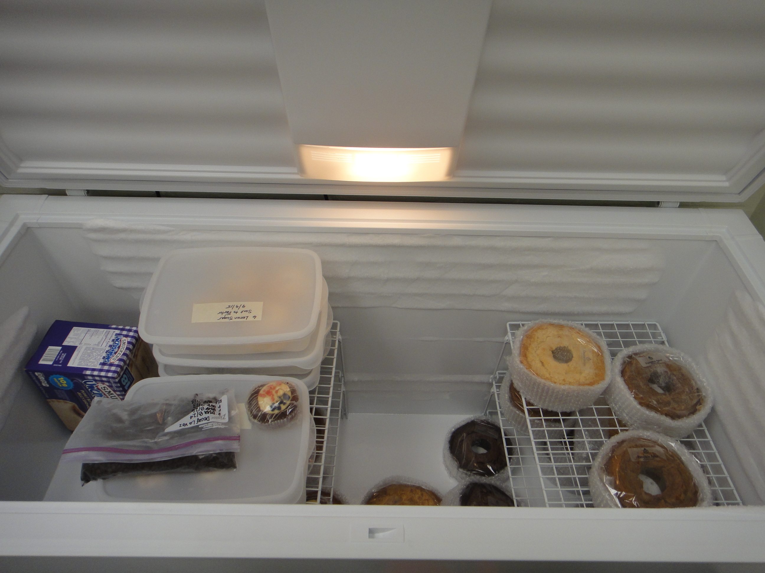 Kelvinator Commercial Chest Freezer Model No. KCS200GW