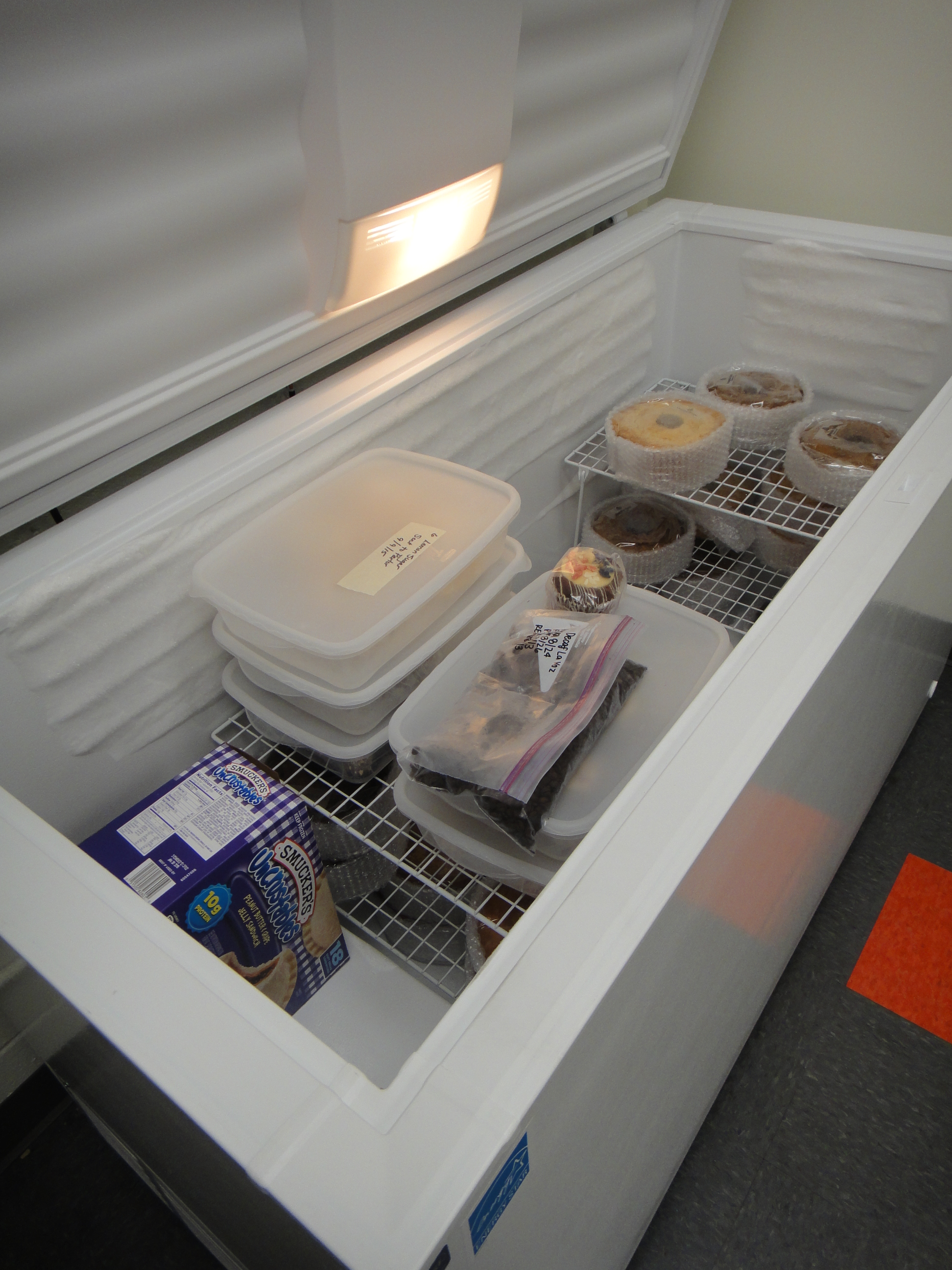 Kelvinator Commercial Chest Freezer Model No. KCS200GW