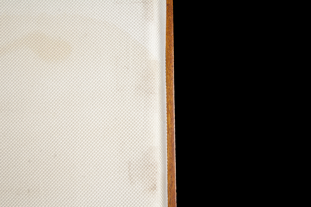 Mid-Century Modern Trundle Couch