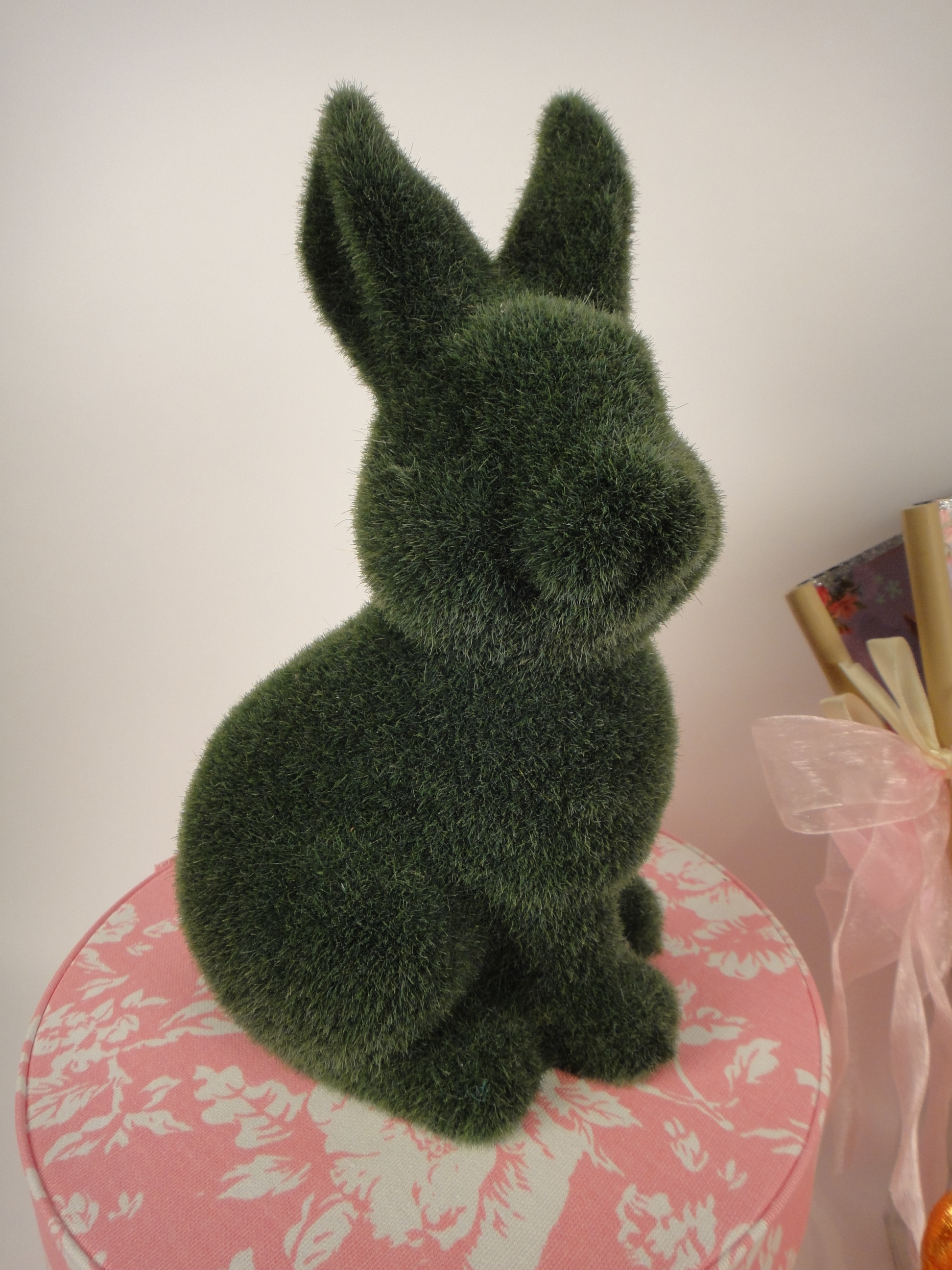 Bunnies Galore and More