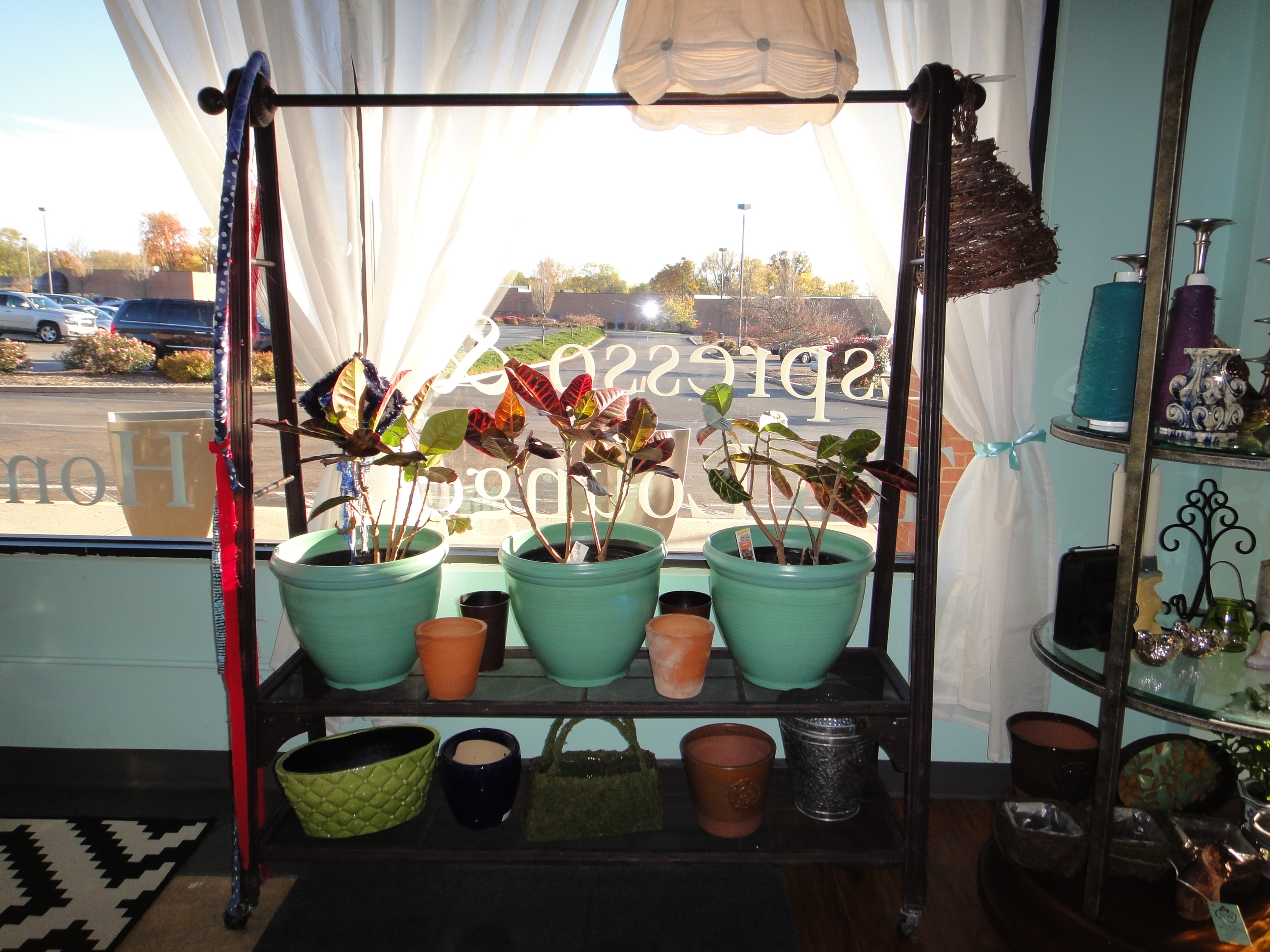 Antique Look Clothing Rack With Live Plants, God's Eye and More