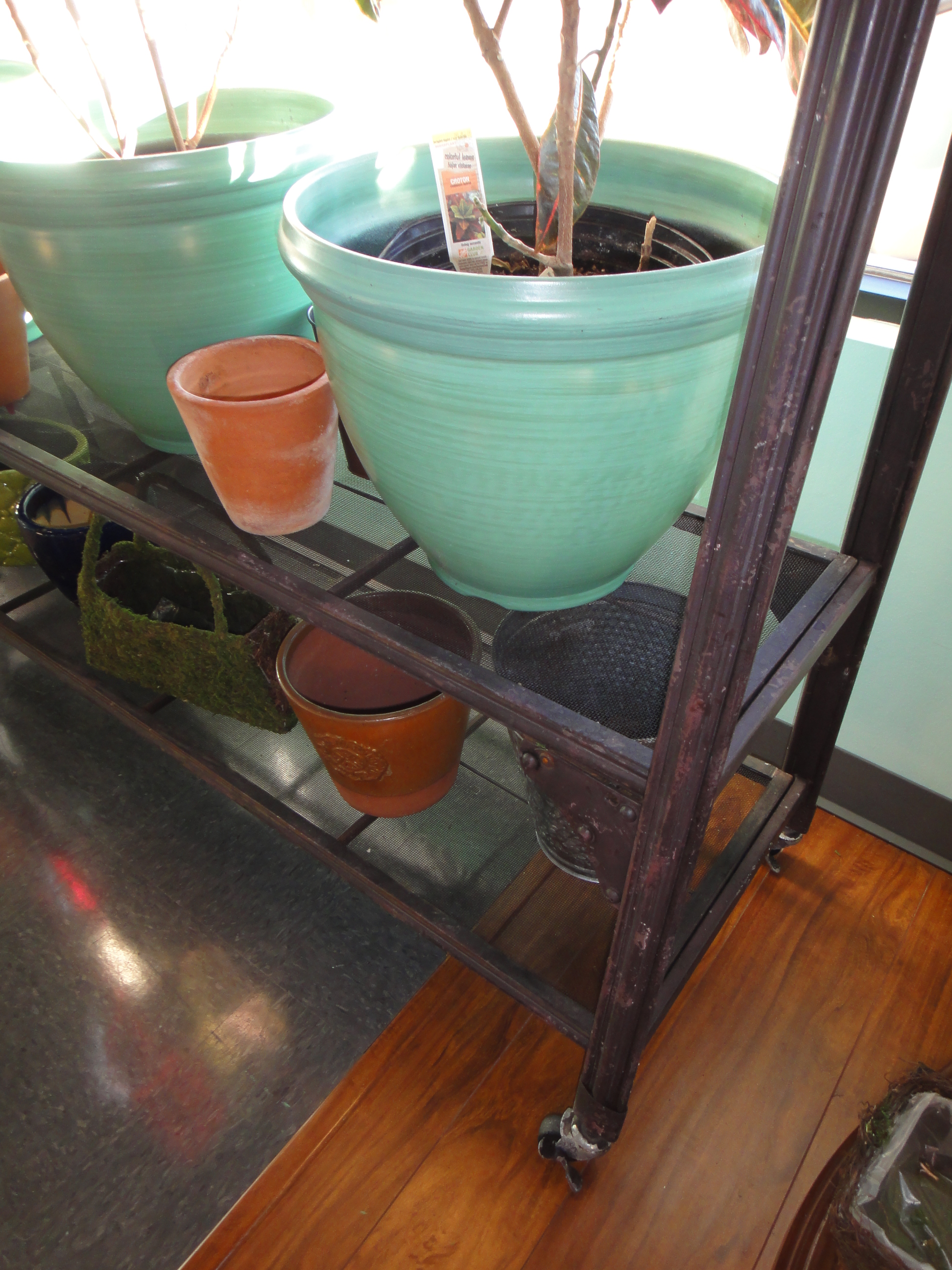 Antique Look Clothing Rack With Live Plants, God's Eye and More