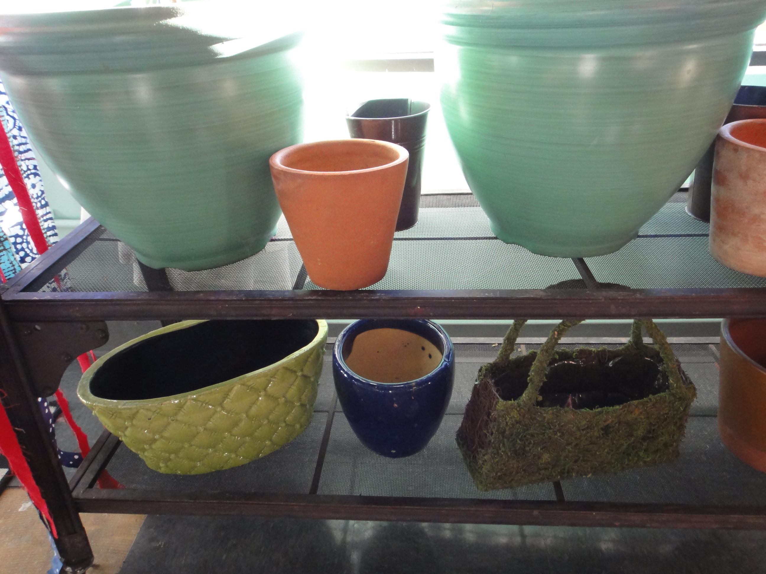 Antique Look Clothing Rack With Live Plants, God's Eye and More