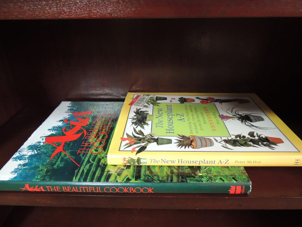 Large Cookbook Collection