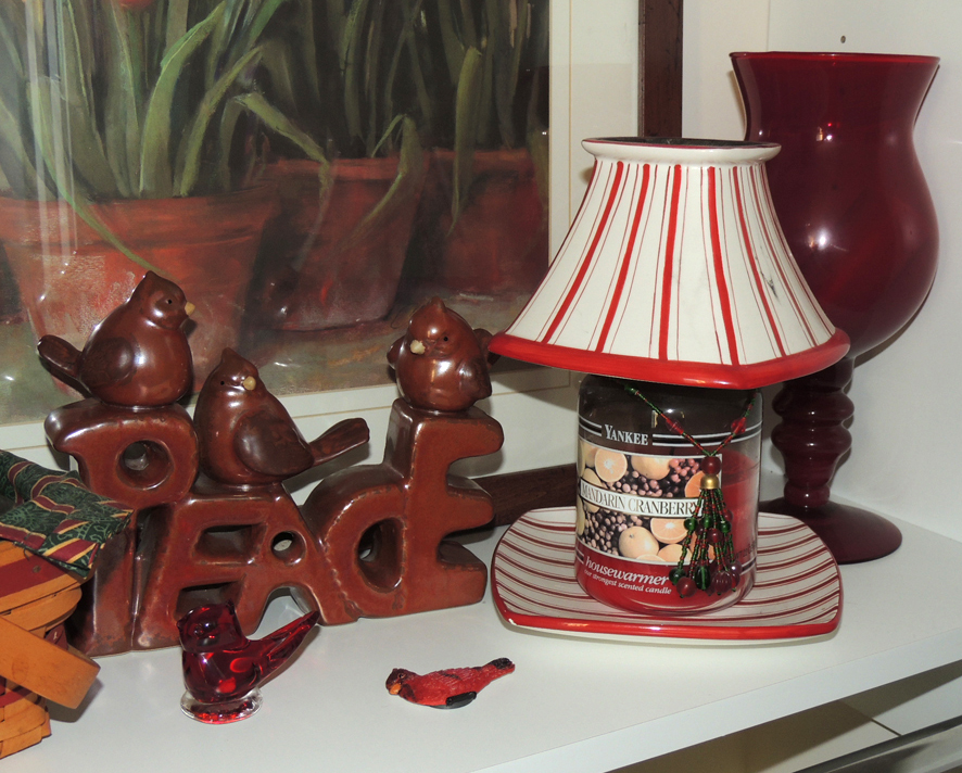 Red Tulip Framed Print and Coordinating Decor