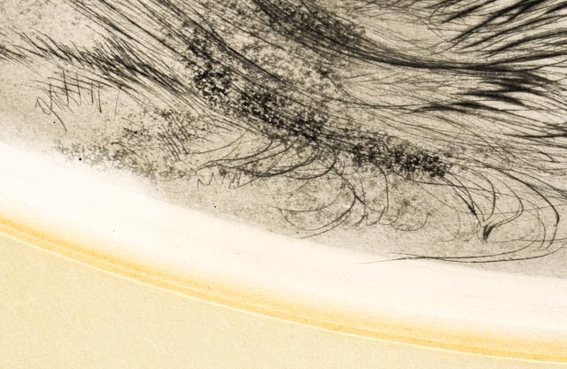 Original Louis Icart Aquatint Drypoint Etching "Parrots"