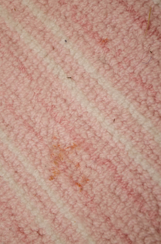 Pottery Barn Kids Avery Rug