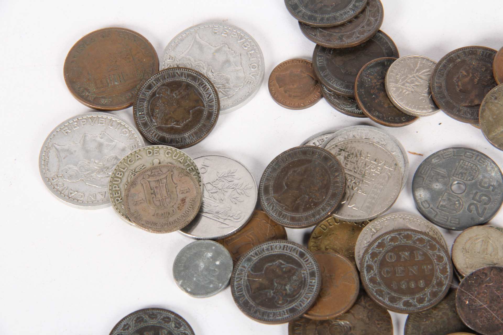 Foreign Coin and Currency Collection
