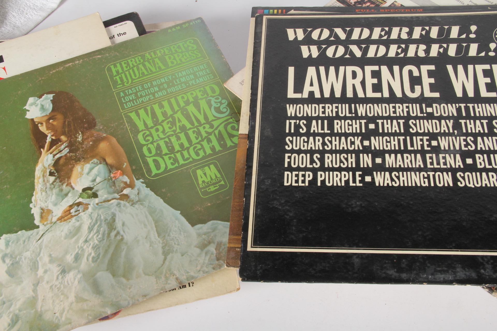 Vintage Vinyl Record Collection