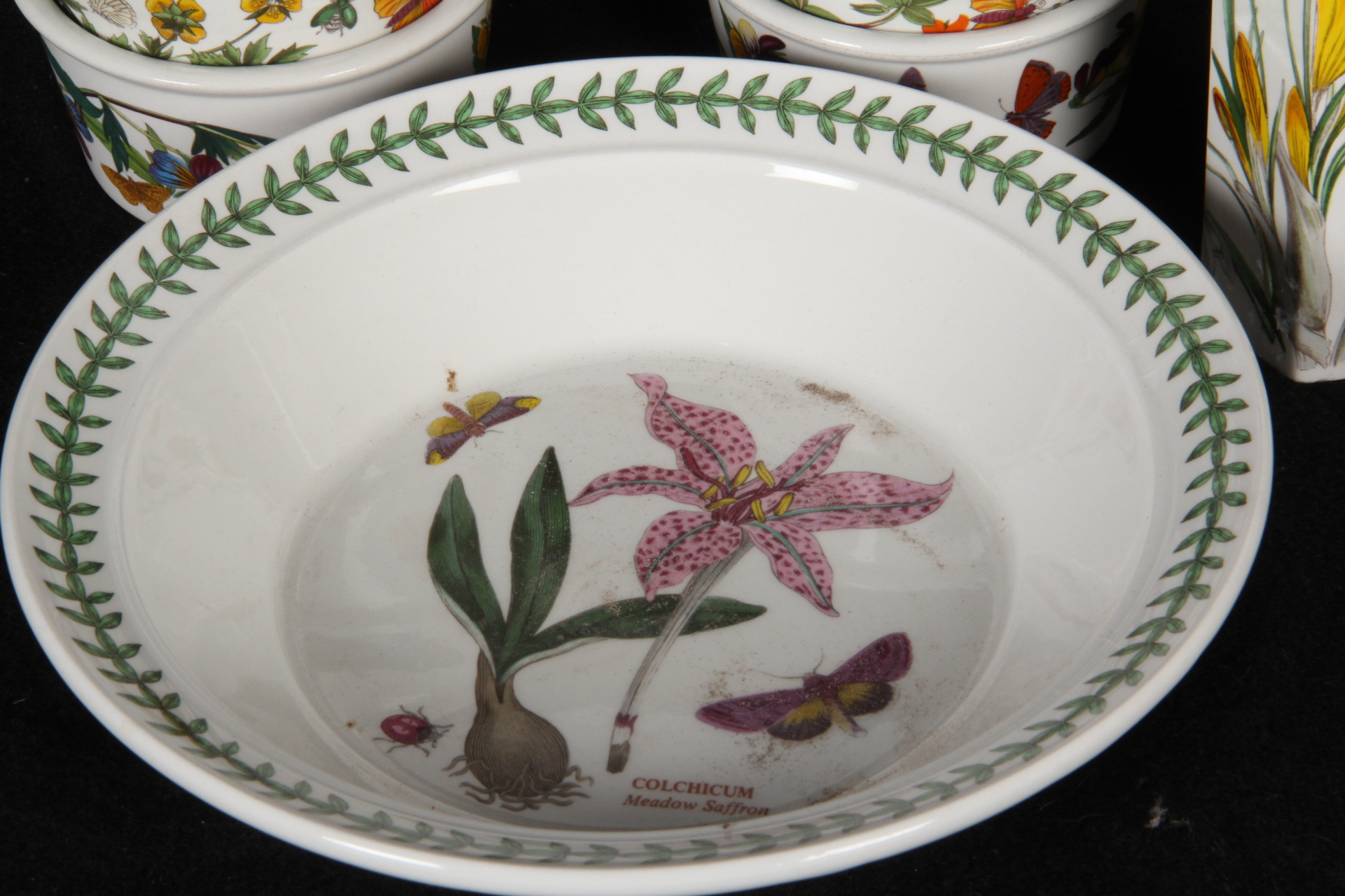 Vintage Portmeirion Botanical Garden Butterflies China Collection