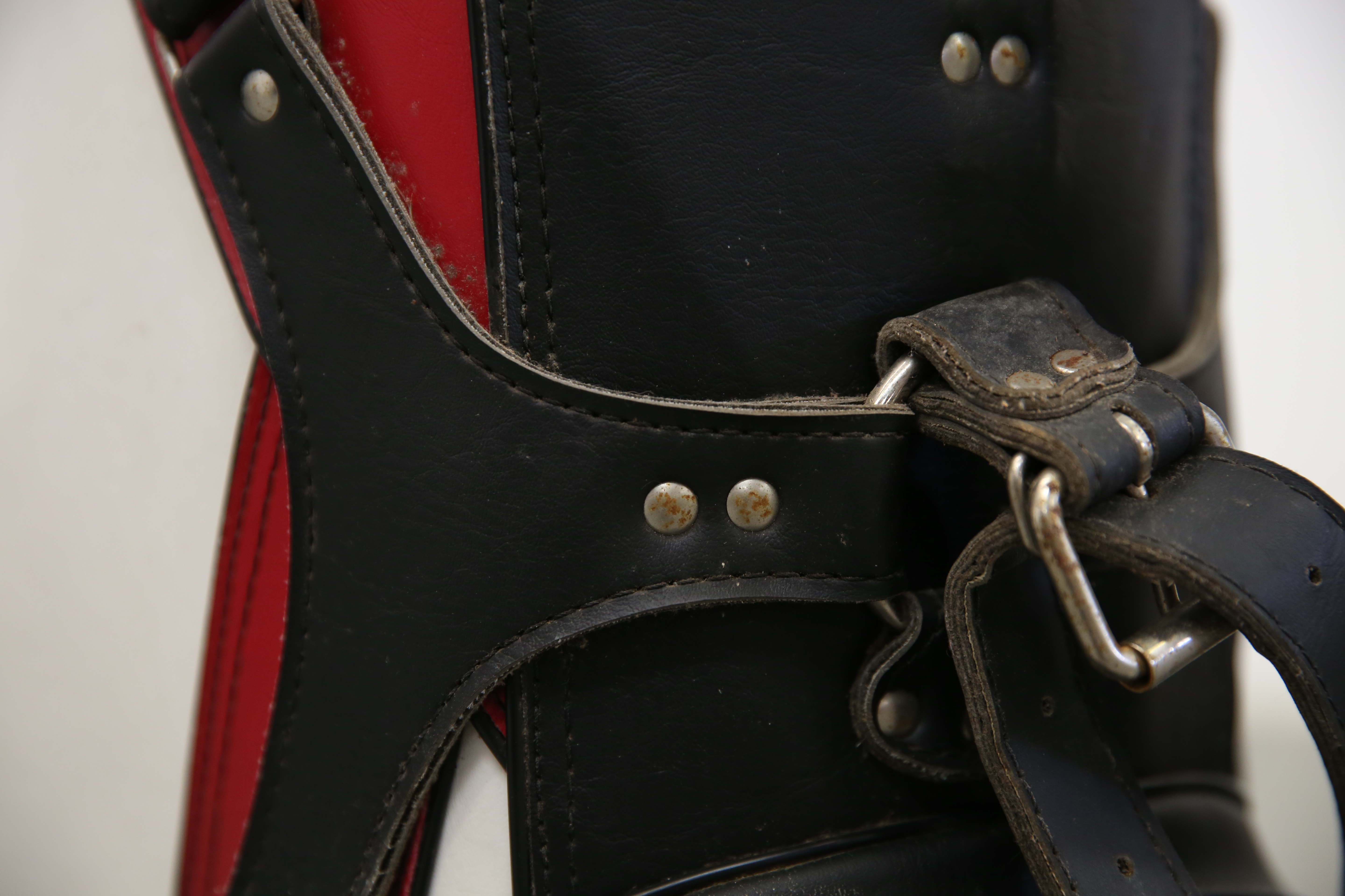 John Y. Brown, Jr. Kenny Rogers Rosters Golf Bag