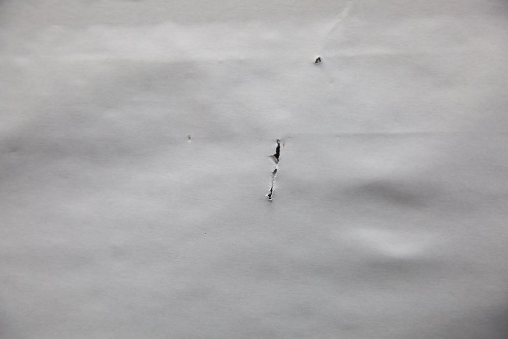 Oil Painting by M. Gordon