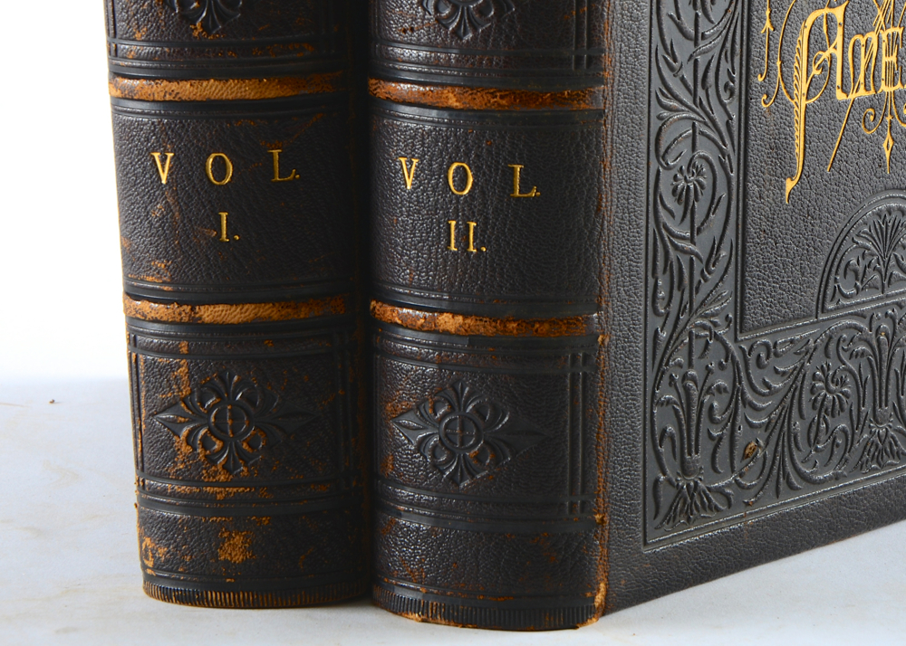 1872 "Picturesque America" edited by William Cullen Bryant