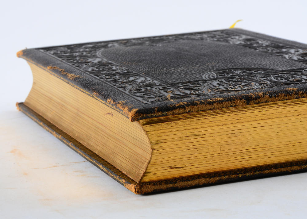 1872 "Picturesque America" edited by William Cullen Bryant