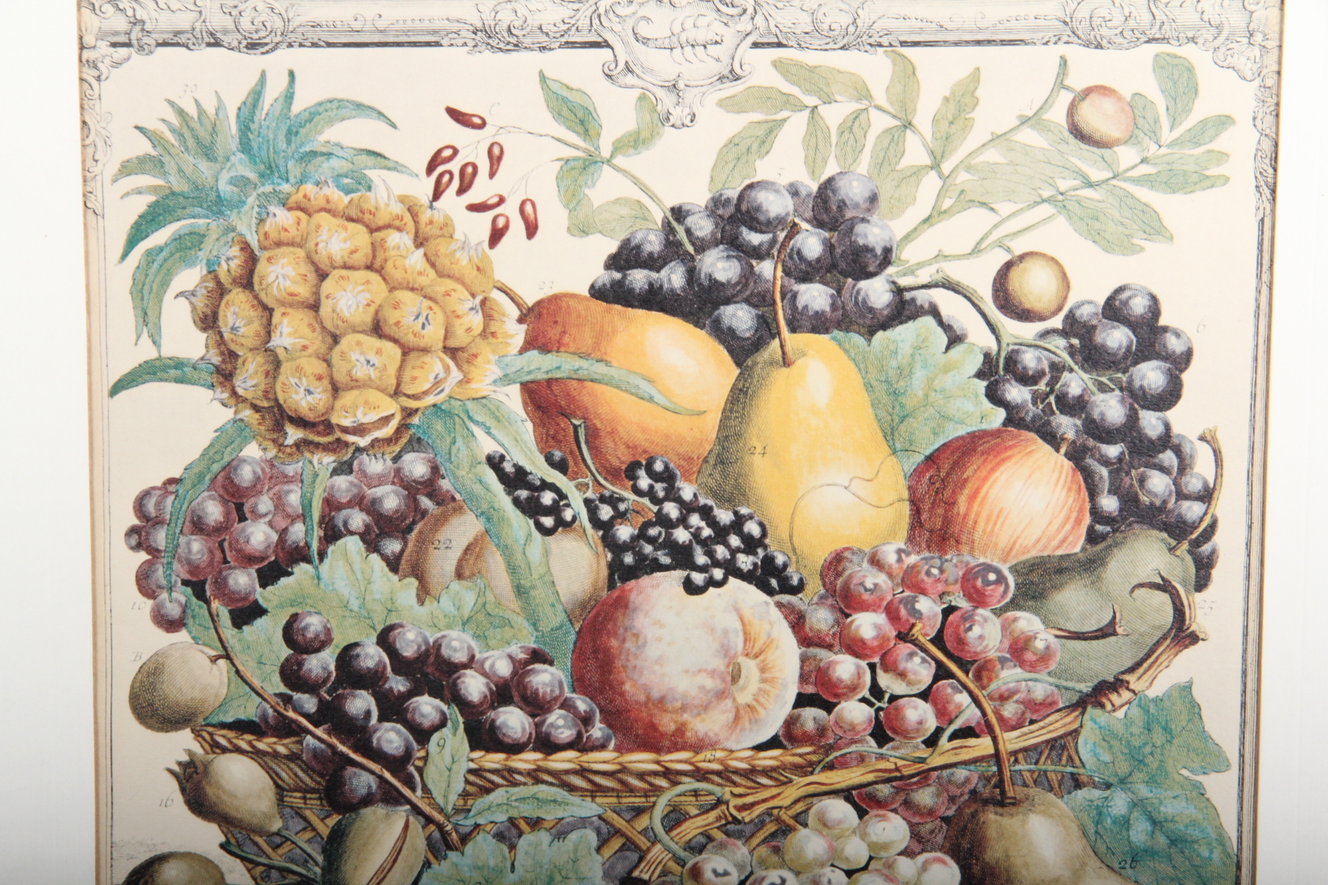 Fletcher "October Bounty" Engraved Lithograph