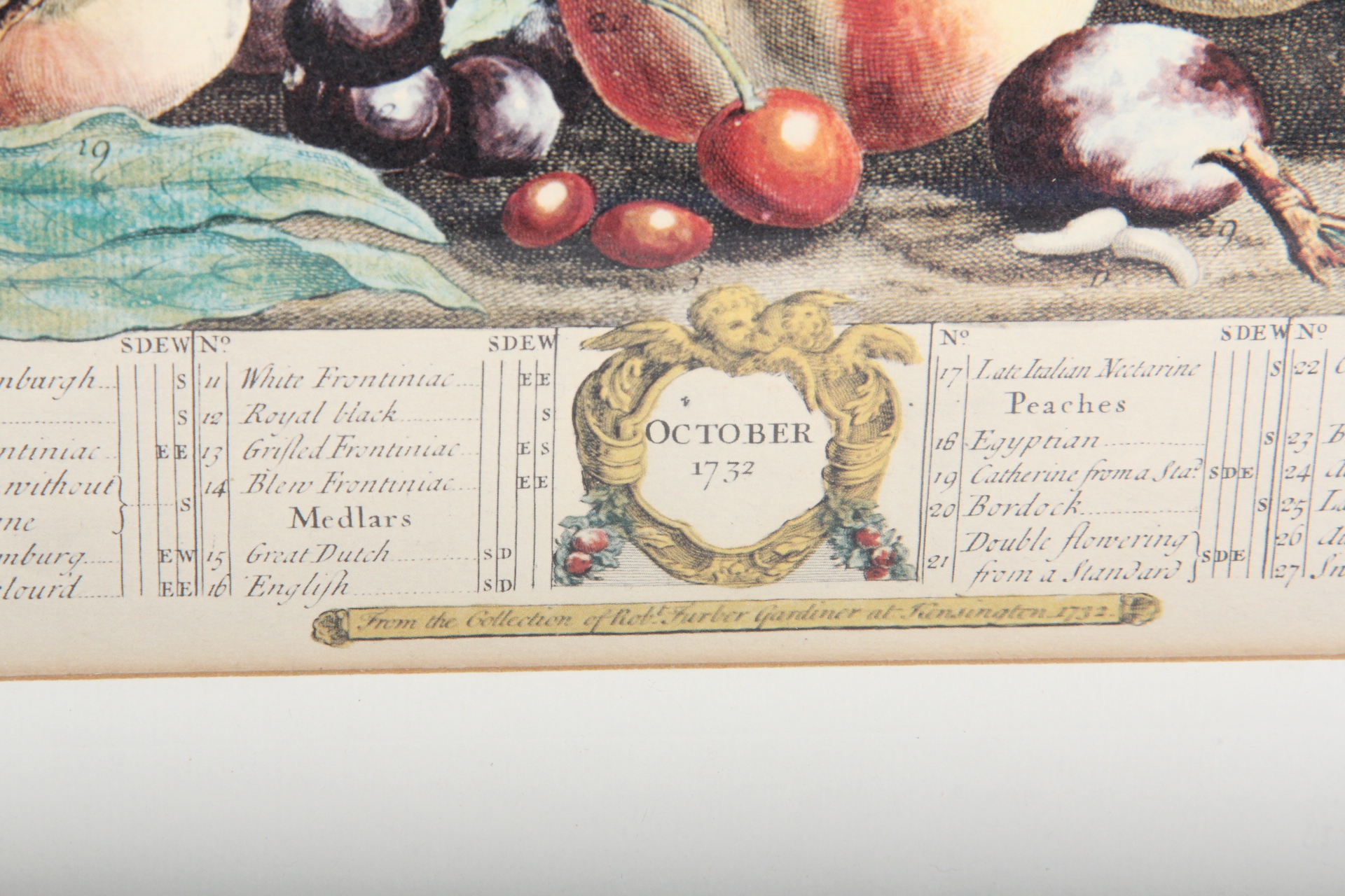 Fletcher "October Bounty" Engraved Lithograph