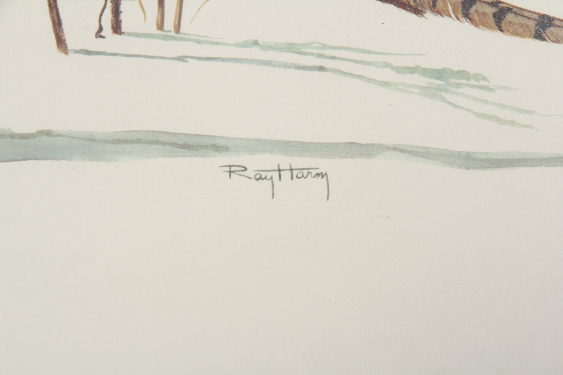 Ray Harm Pheasant Offset Lithograph