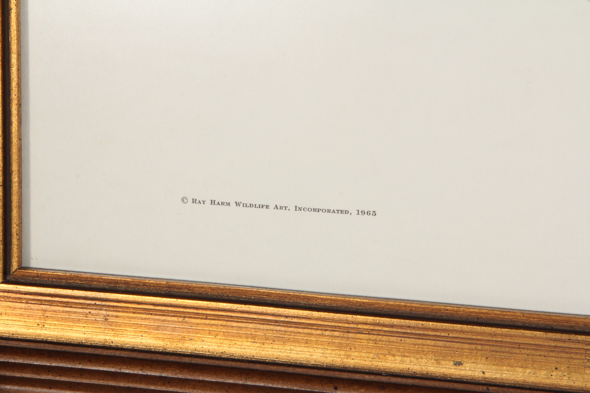 Ray Harm Pheasant Offset Lithograph