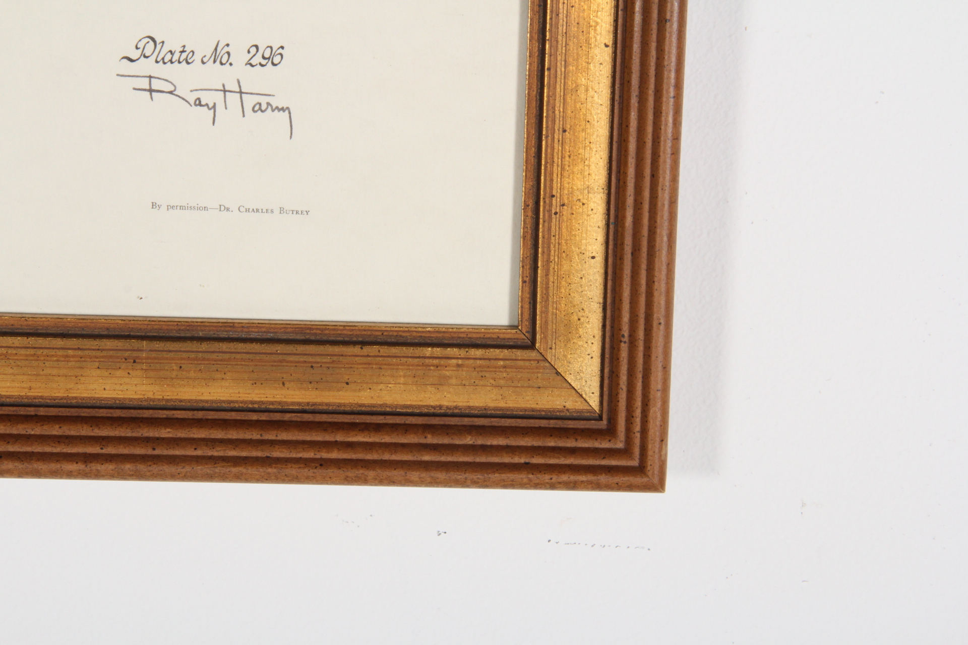 Ray Harm Pheasant Offset Lithograph