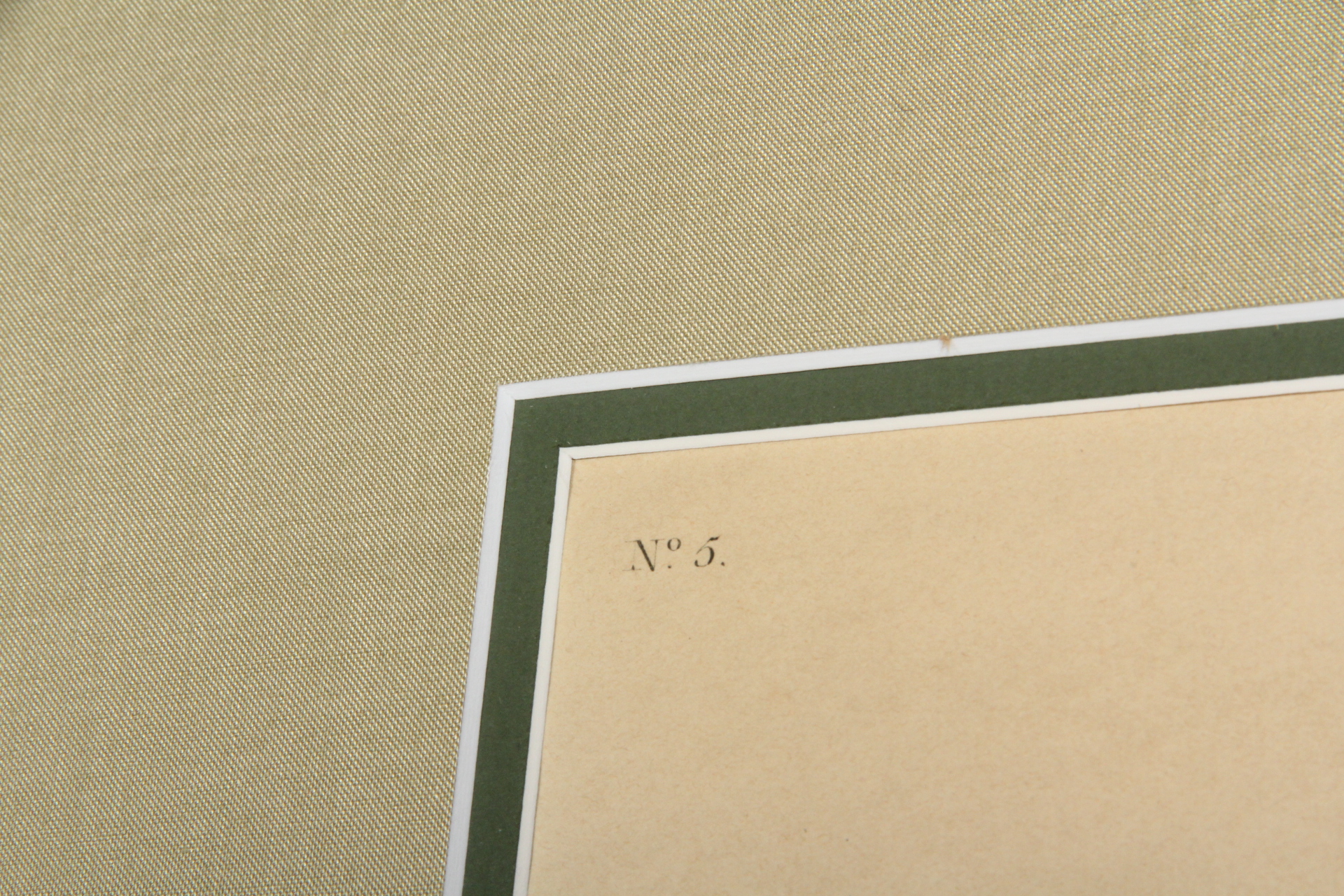 Hand Colored Engraving After John J. Audobon