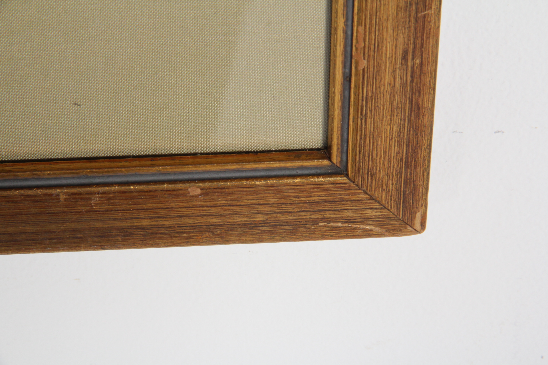 Hand Colored Engraving After John J. Audobon