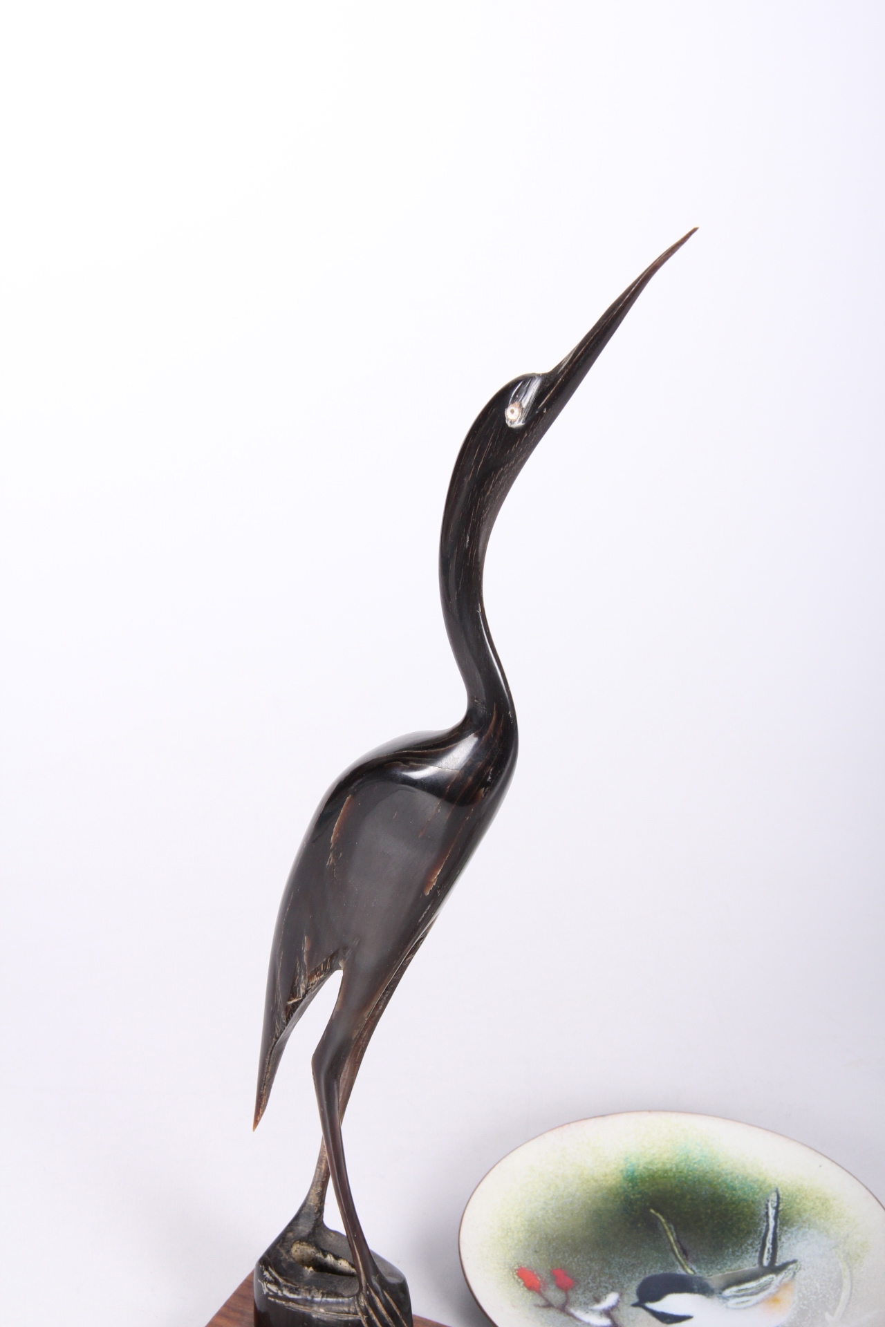 Avian Decor and Accessories