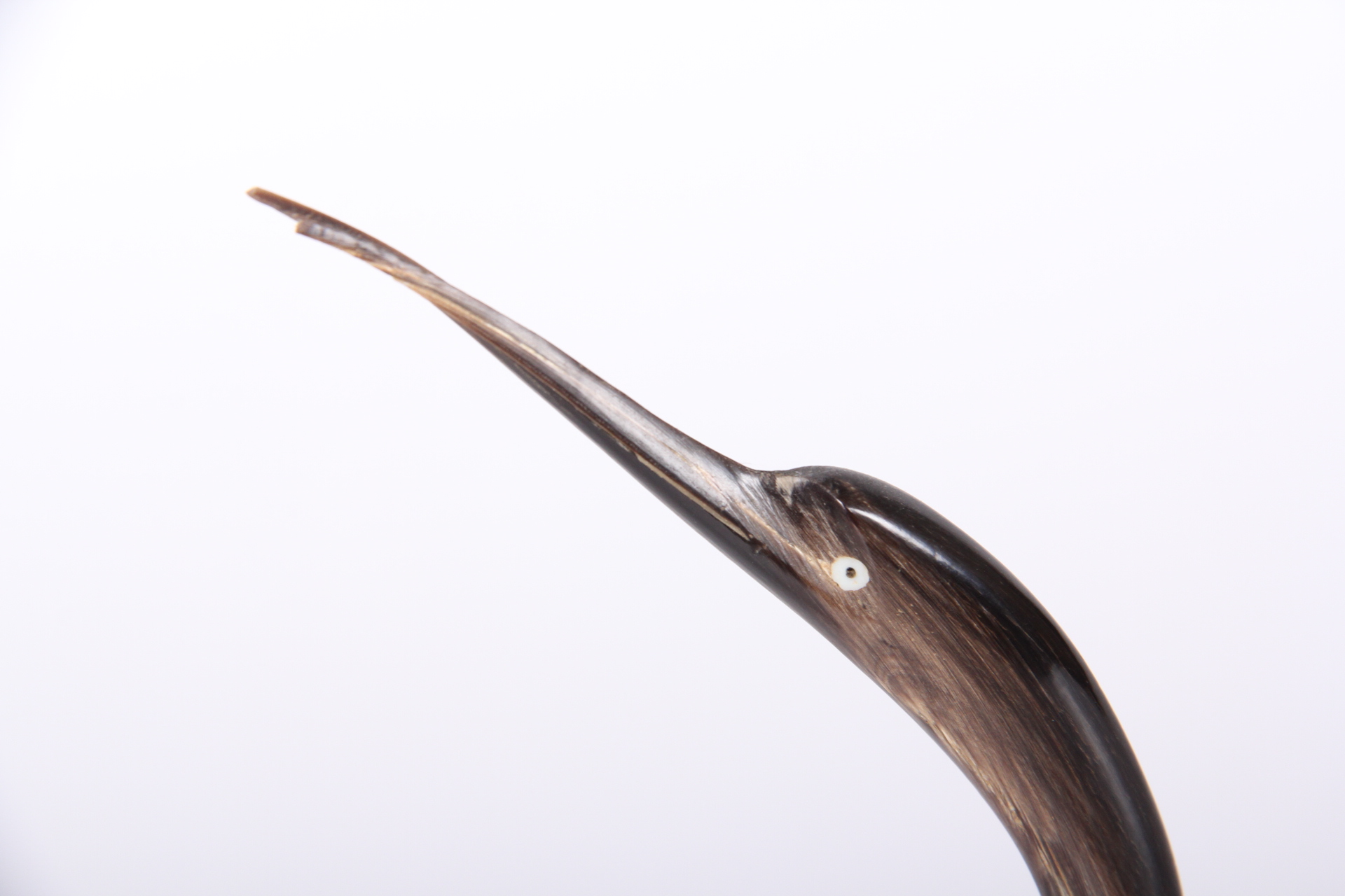 Avian Decor and Accessories