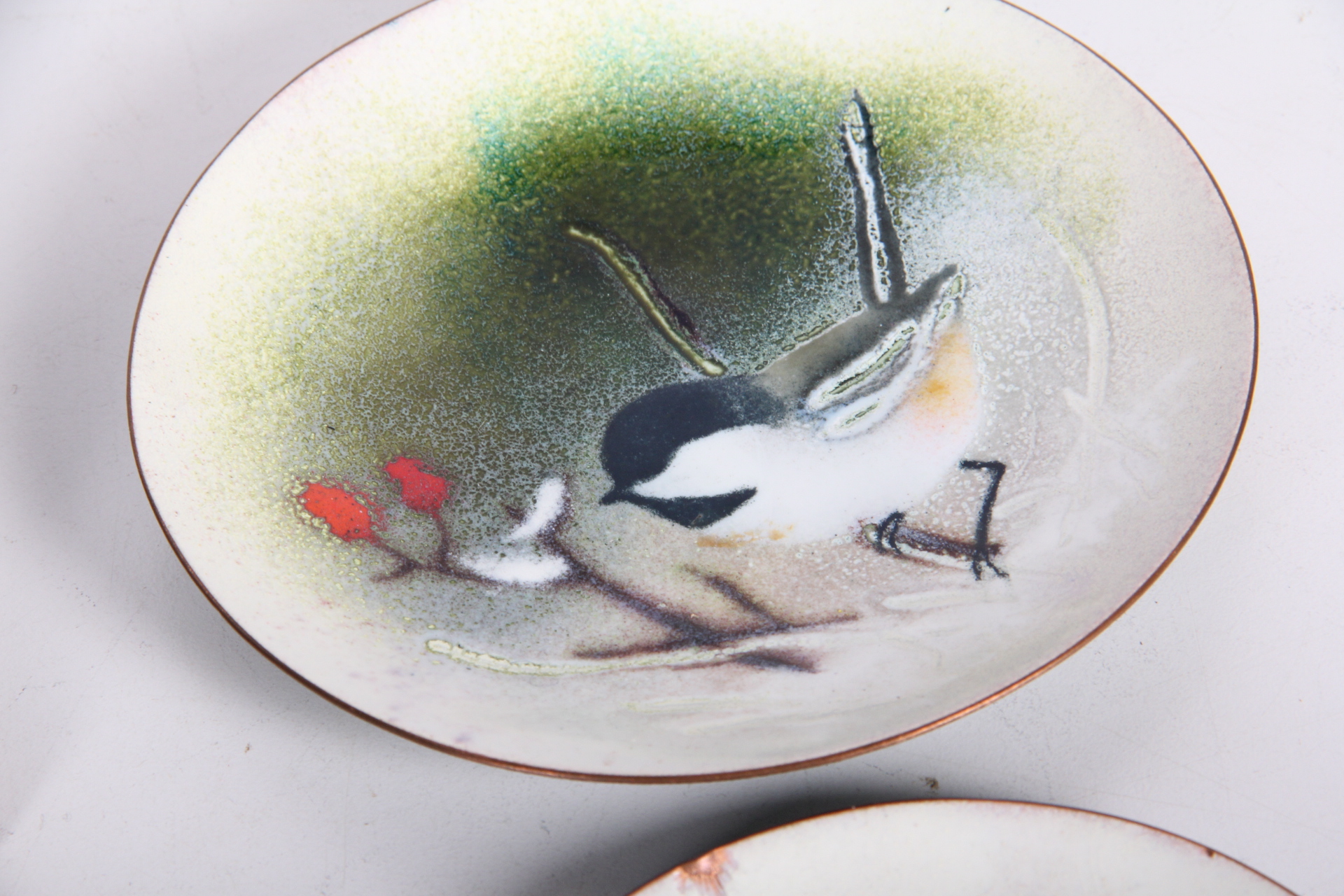 Avian Decor and Accessories