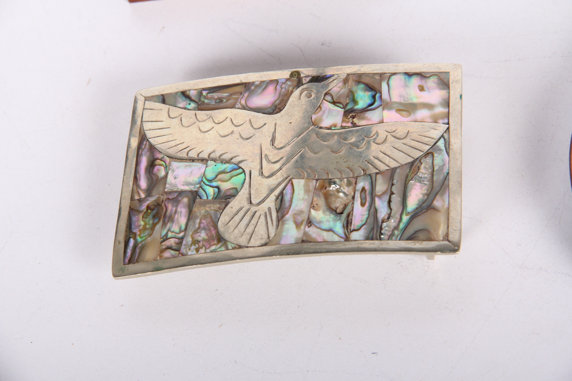 Avian Decor and Accessories