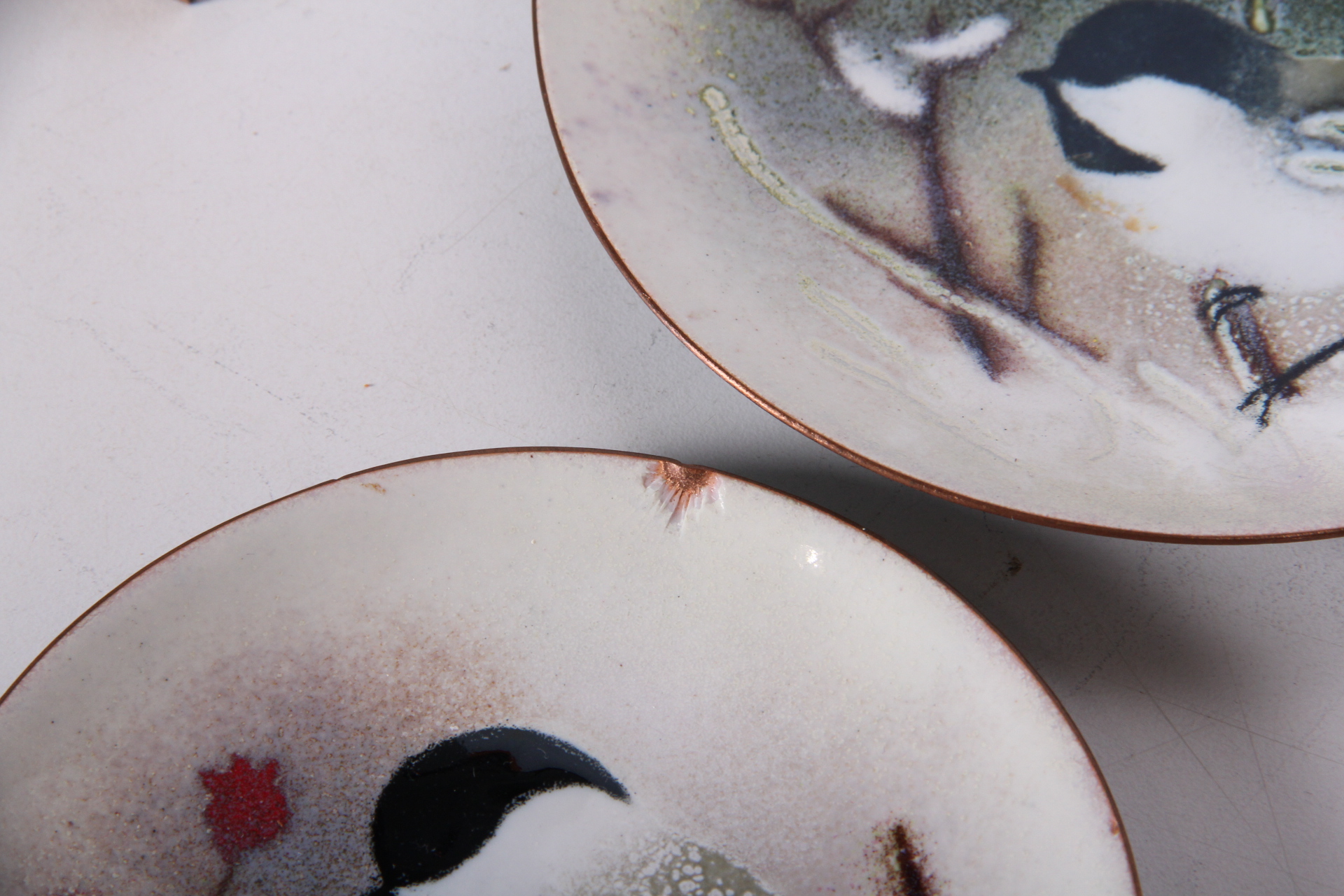 Avian Decor and Accessories