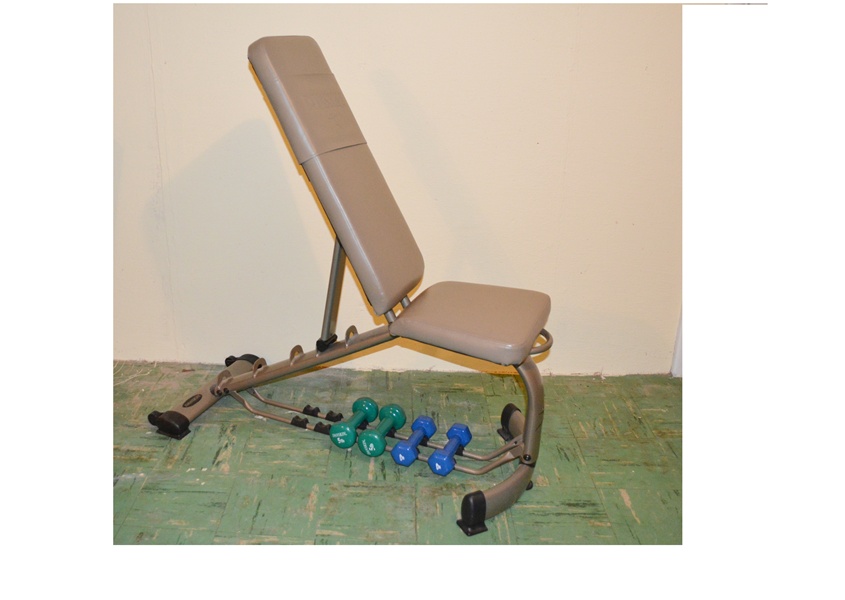 Danskin Workout Bench and Hand Weights