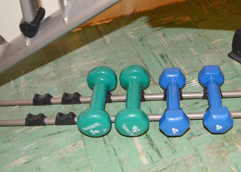 Danskin Workout Bench and Hand Weights