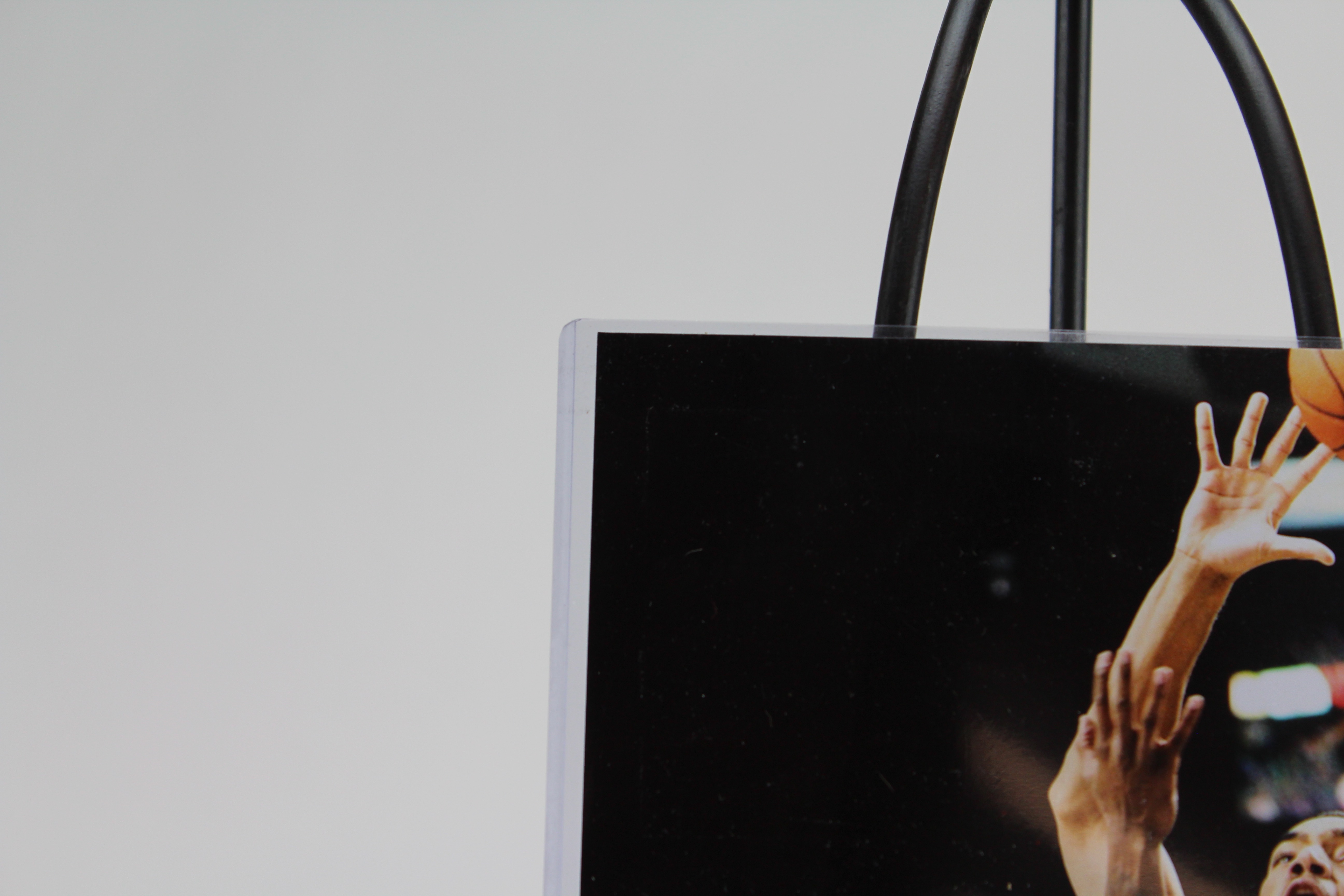 Trey Lyles Autographed Photo