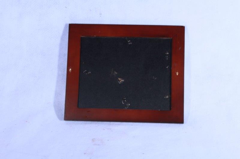 Framed Eli Young Band Signed Promotional Photo