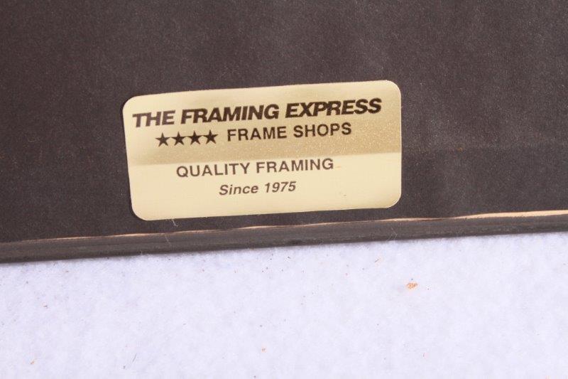 Indianapolis Colts 2006 Super Bowl Champions Framed Poster