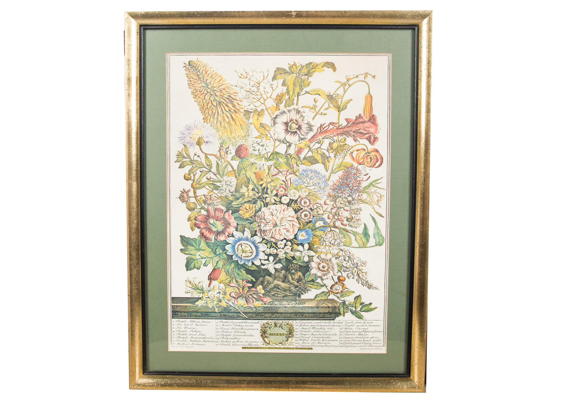 Pair of Botanical Offset Lithographs