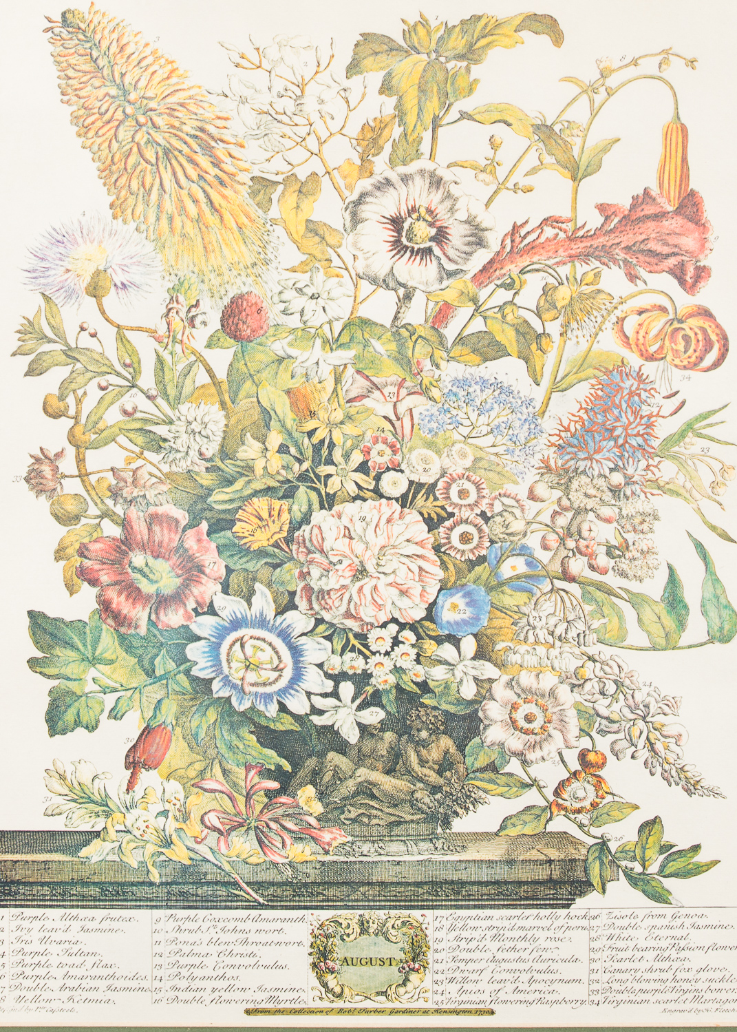 Pair of Botanical Offset Lithographs