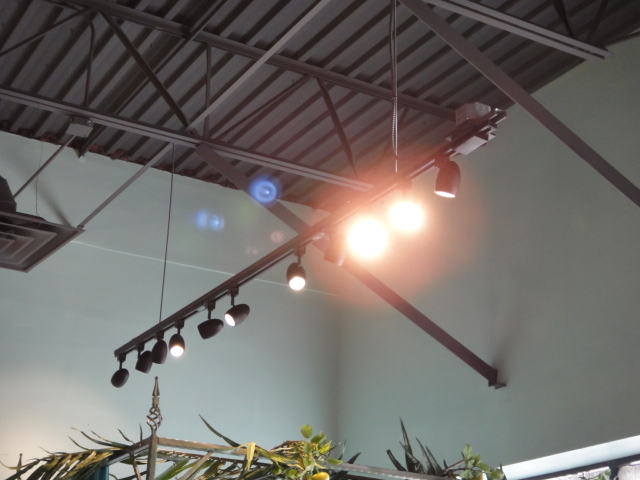 11 Bars of Track Lighting