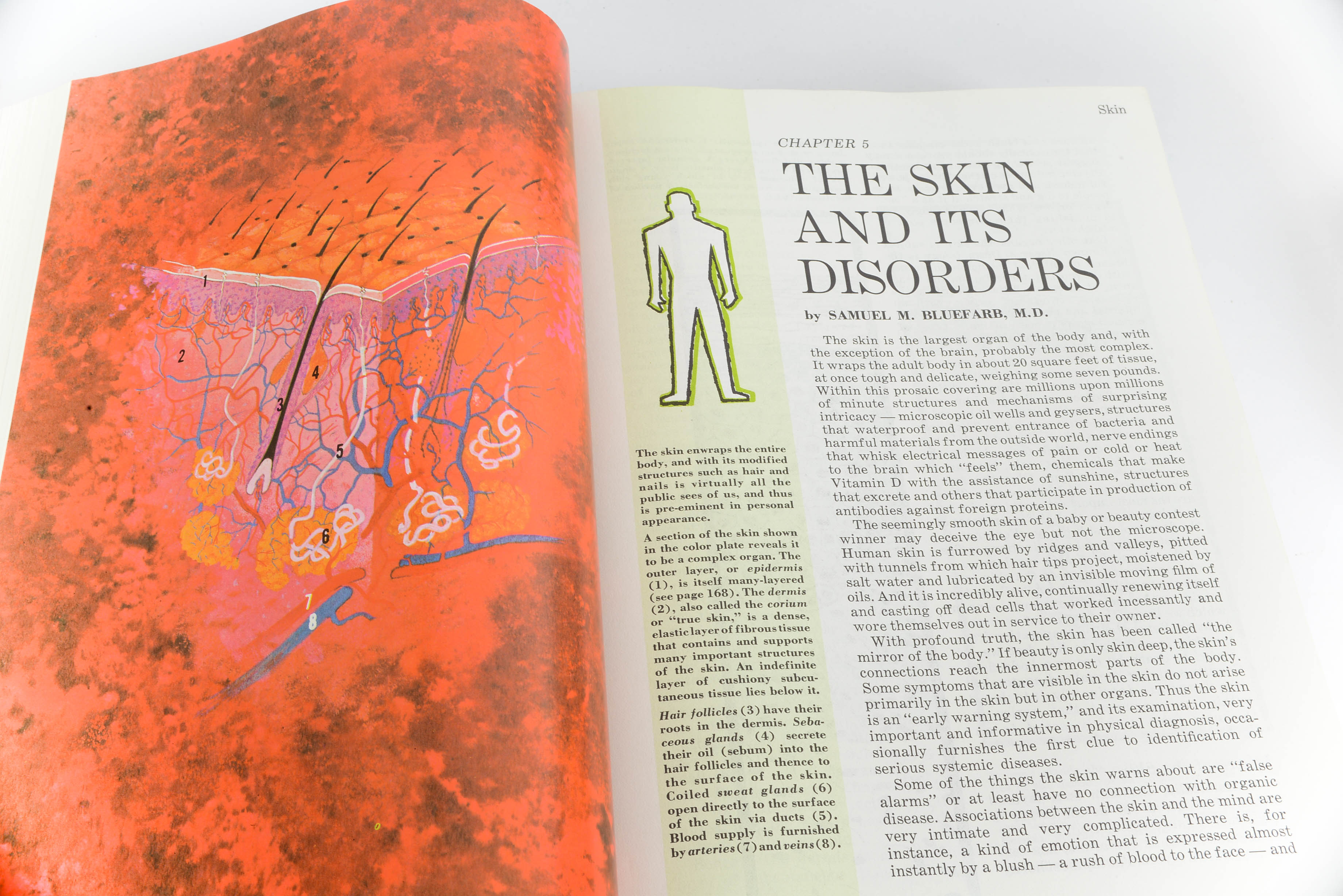 Vintage Reference Books