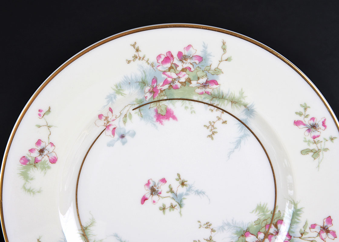 Theodore Haviland New York China Set