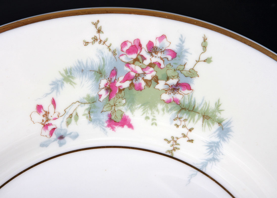 Theodore Haviland New York China Set