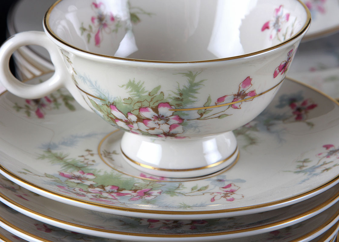 Theodore Haviland New York China Set