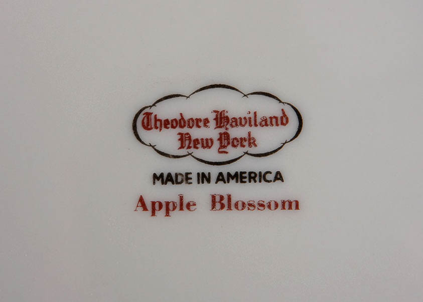 Theodore Haviland New York China Set