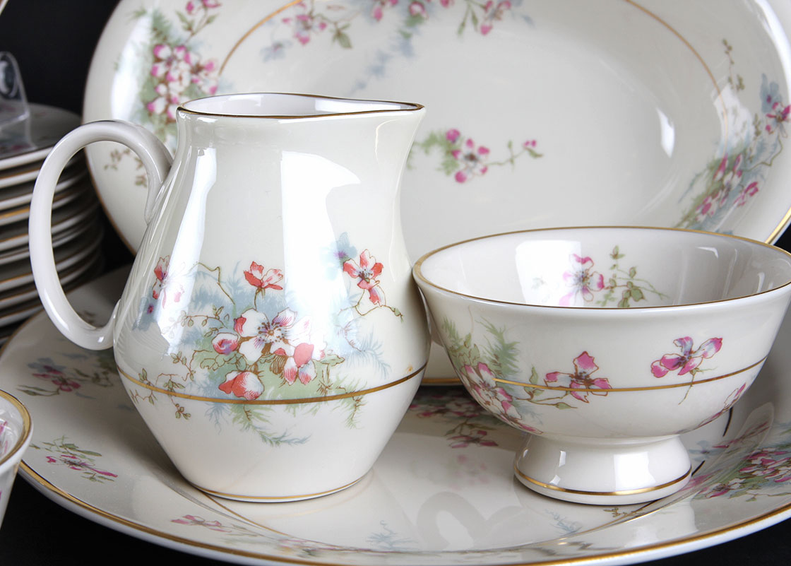 Theodore Haviland New York China Set