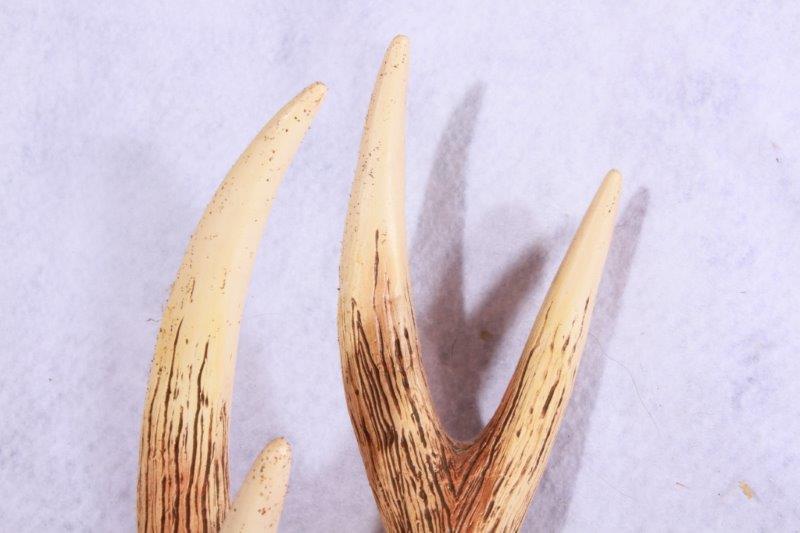 Keystone Light Antlered Wall Plaque