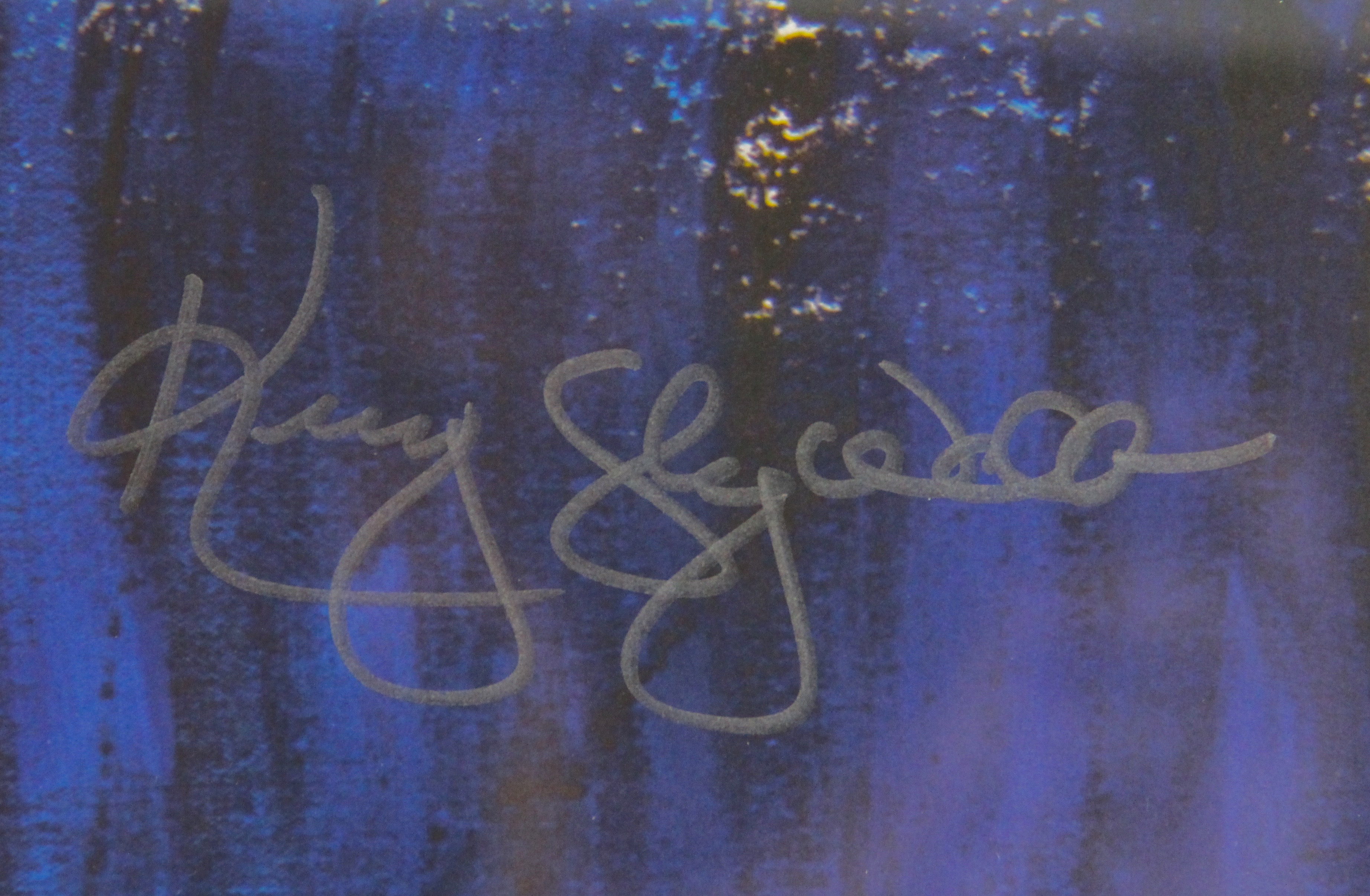 Autographed Wildcat Giclee Print by Aaron Kizer