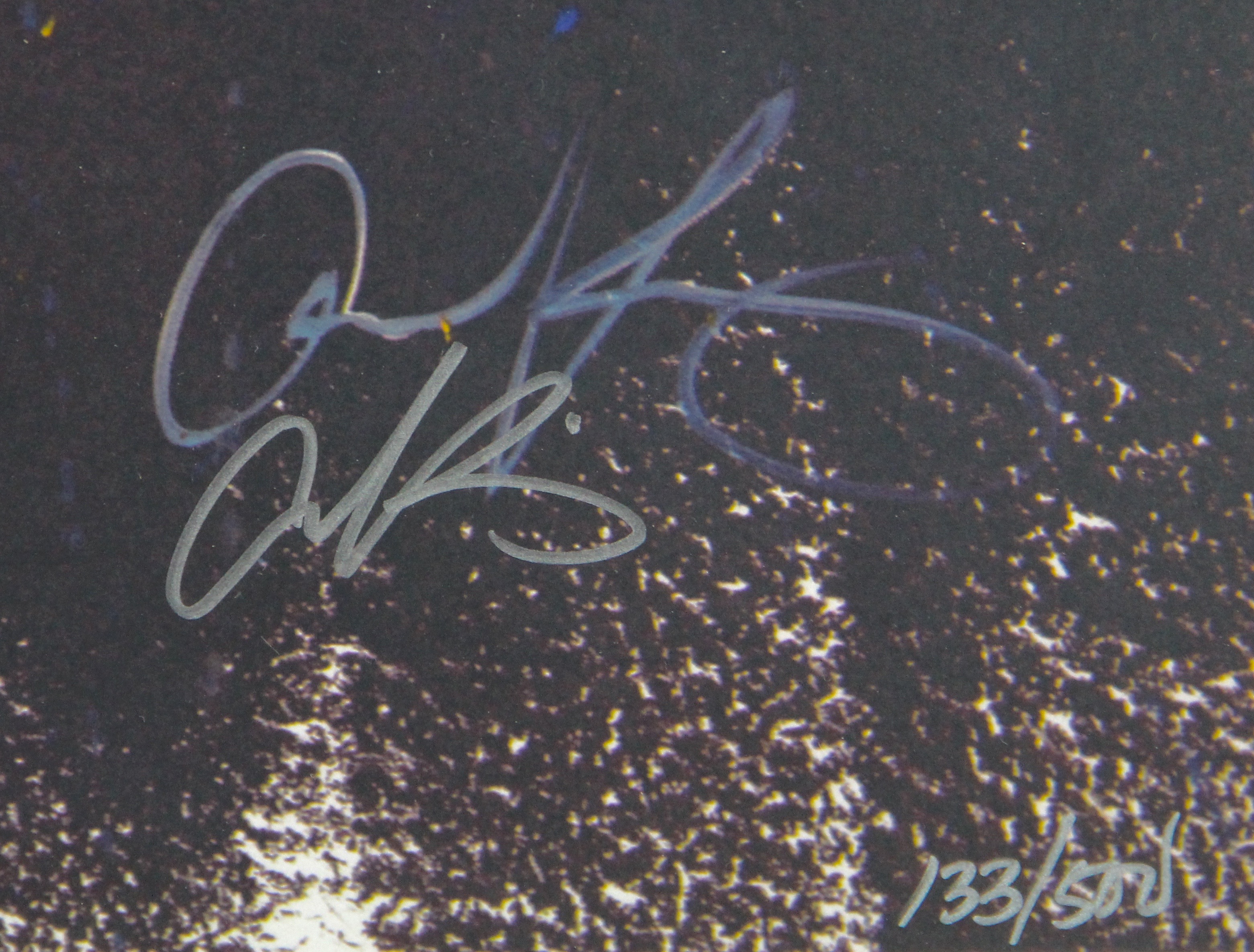 Autographed Wildcat Giclee Print by Aaron Kizer