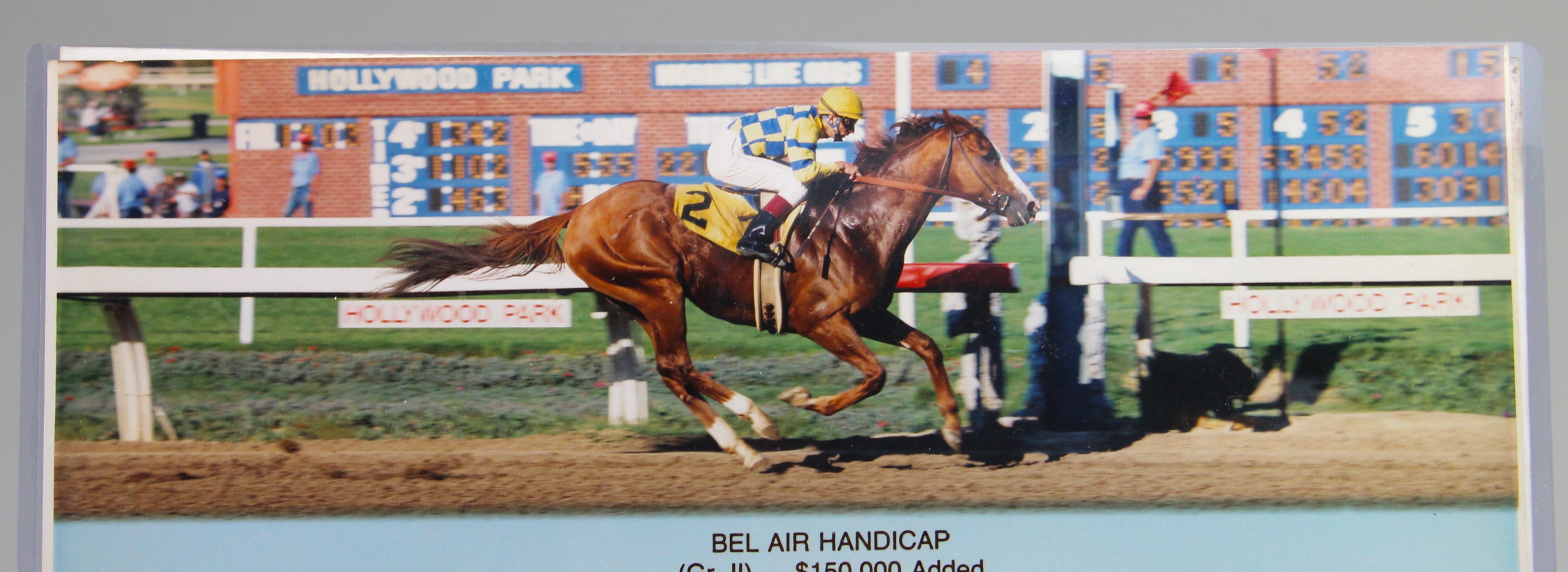 Cinema Breeder's Cup And Bel Air Handicap Winners Photographs