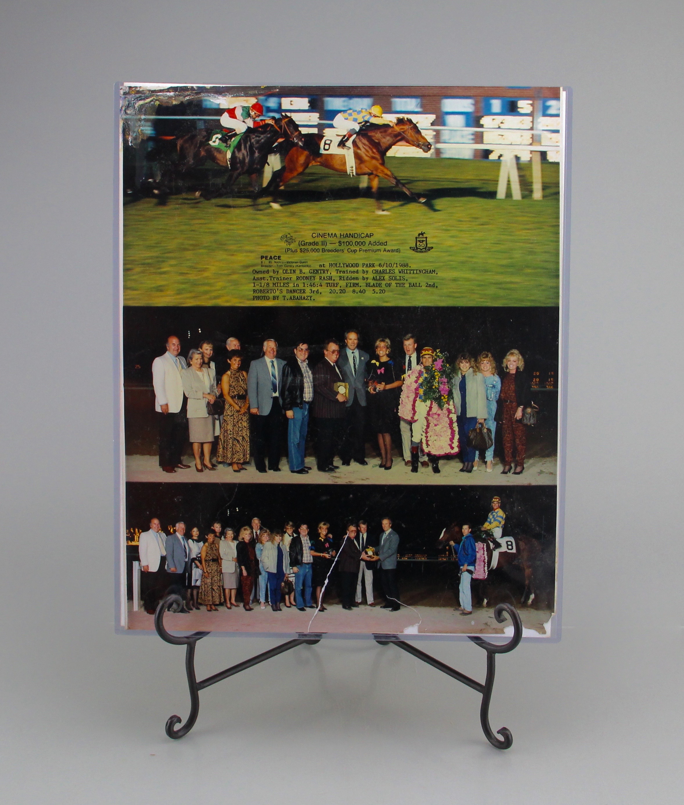 Cinema Breeder's Cup And Bel Air Handicap Winners Photographs