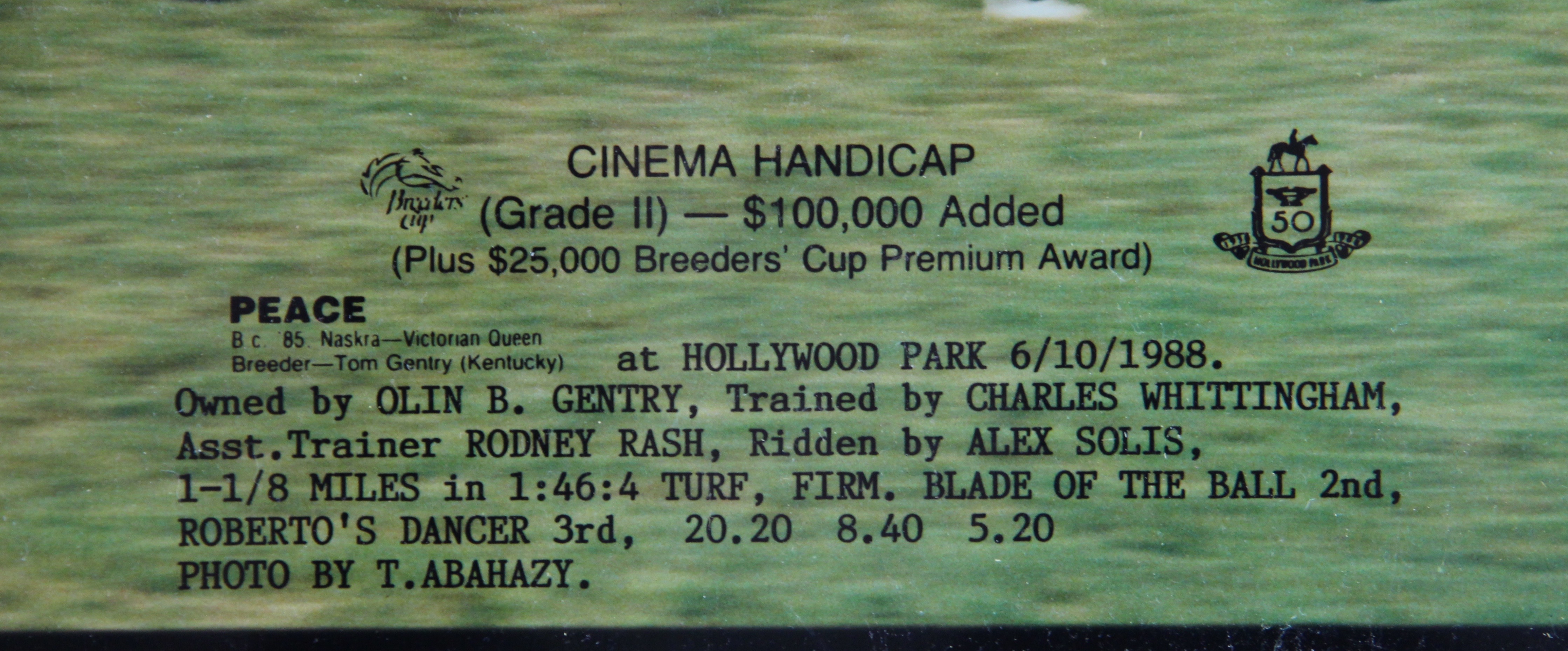 Cinema Breeder's Cup And Bel Air Handicap Winners Photographs